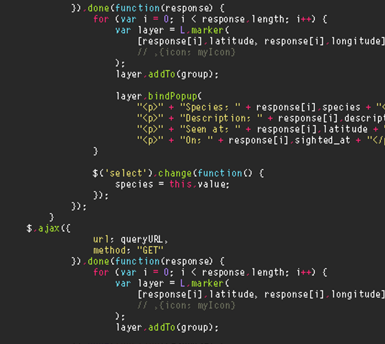 Takalani nedzanani full stack developer